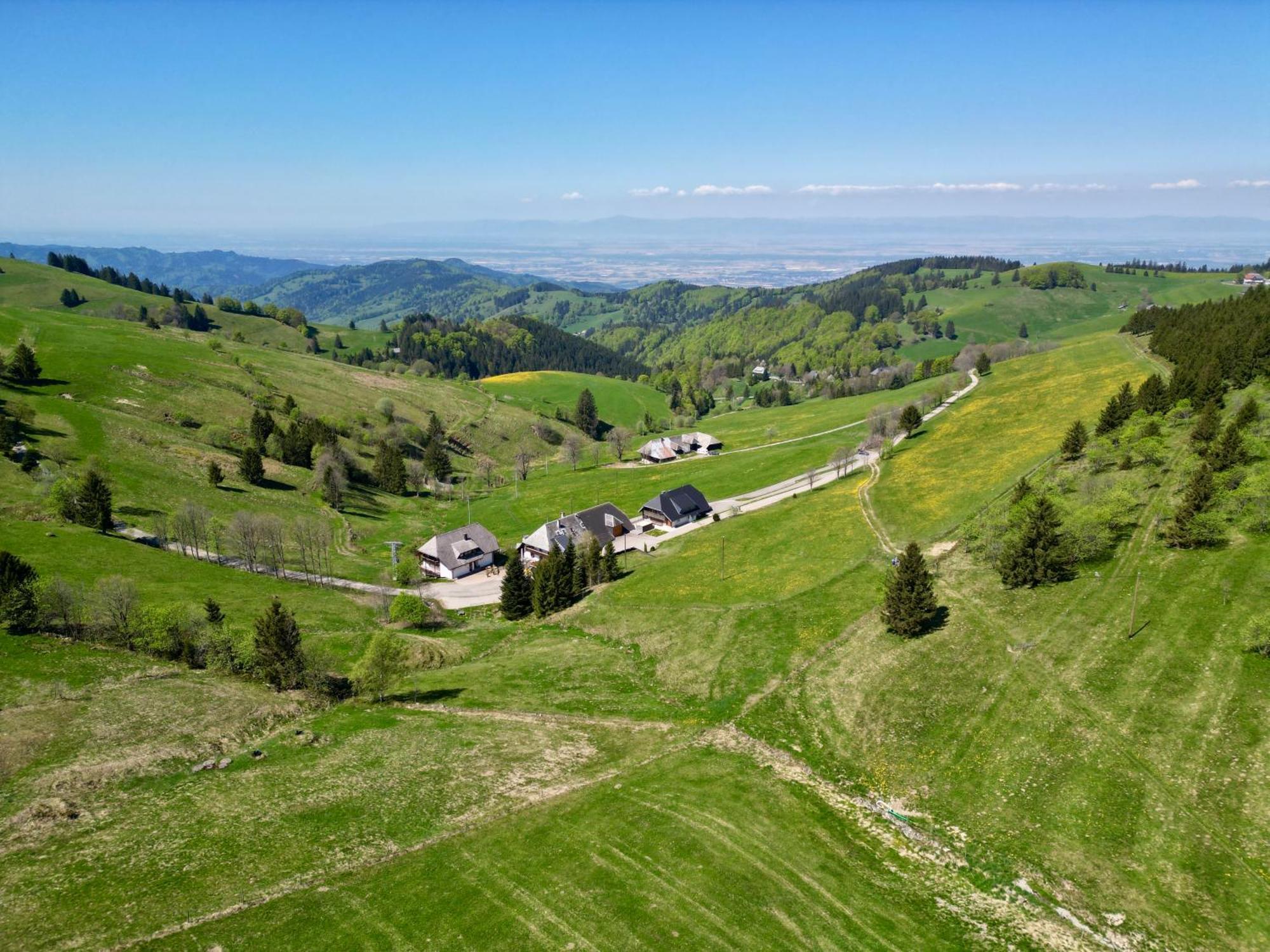 View House, Schauinsland, Black Forest Münstertal Екстериор снимка